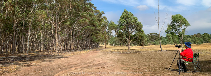 ido  art  karen  robinson